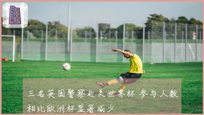 三名英国警察赴美世界杯 参与人数相比欧洲杯显著减少